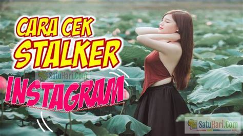 Demikianlah artikel tentang cara menggunakan jnck media ig stalk yang bisa kami sampaikan, terima kasih dan semoga bermanfaat. √⊕ TERBAIK 15+ Aplikasi Stalker Instagram - Cara ...