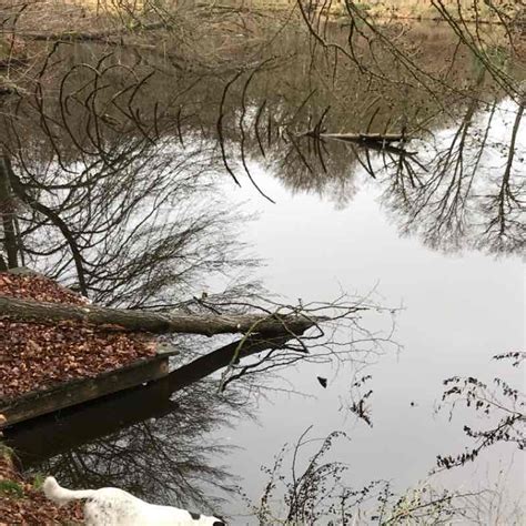 59,596 likes · 660 talking about this · 516 were here. Through the Breitenburger forest Walk Trail - Itzehoe ...