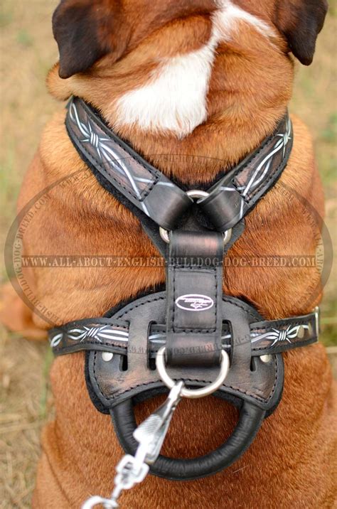 Naming your dog is an important first step as a pup parent. Choose now Fashion Handmade Leather Dog Harness for Bulldog