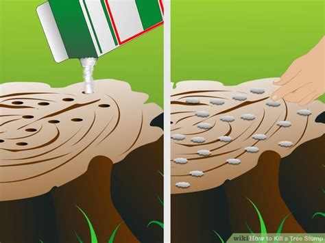 How to apply epsom salt. Pin on Garden Goodies