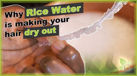 Does rice water help with hair growth? Why RICE WATER is making your hair DRY OUT - YouTube