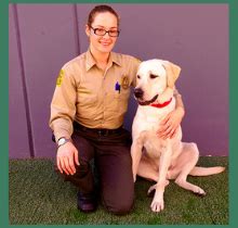 Training to become a detector dog and handler is a challenge. CDFA - Plant Health - California Dog Teams - Agent