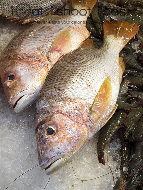 Large specimens are best filleted with the pin bones removed. Singapore Fish Files: Snappers and Jobfish | ieatishootipost