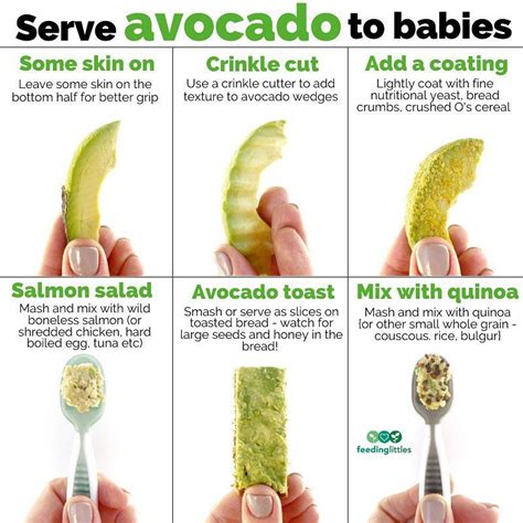 Baby food recipes for 6 months old along with ingredients and instructions to prepare. Feeding Littles on Instagram: "Let's talk how to serve ...