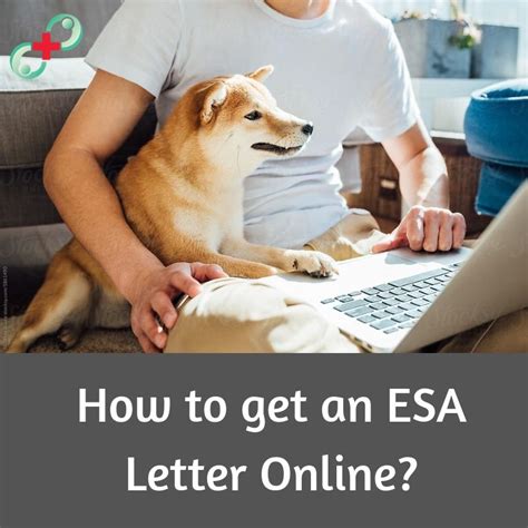 In the next section, we'll provide information on how to qualify for a legitimate esa letter online and how to spot fake esa documentation. Getting an ESA letter online is simple. Just follow these ...