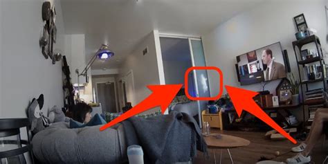 Buchen sie hier ihren urlaub. Most amazing moments caught on Nest Cam - Business Insider