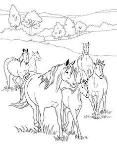 This year's coloring page features a lovely draft horse, just waiting for your creative touch! Coloring Pages! | Horse coloring pages, Horse coloring ...