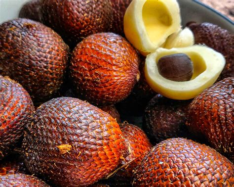 Rare and sometimes even weird tropical fruits, with unusual and unique shapes and flavors. Unusual Fruit / Unusual Fruit Shapes Archives Legacy Of ...