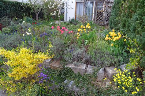 Dieser winter bewirkte, dass die pflanzen im garten austreiben und es zu blühen beginnt. Unser Garten im April | mmth.de - bei Marion und Matthias ...