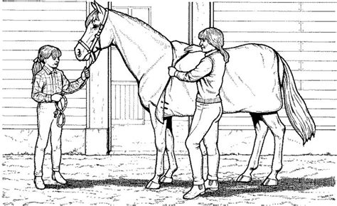 Ausmalbilder zum ausdrucken und ausmalen malvorlagen. 54 best Ausmalbilder Pferde images on Pinterest | Free coloring pages, Horse and Horses