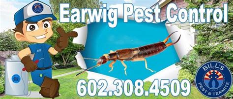 Tucson's highly acclaimed entertainment, educational, military and advanced technological industry sectors, welcome thousands of if you suspect you have a bed bug problem, contact az pest control for a bed bug inspection immediately. Earwig Pest Control Services Phoenix Az | Bills Pest Co.