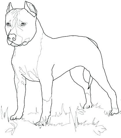 100% free coloring page of a labrador puppy. Yellow Lab Coloring Pages at GetColorings.com | Free ...