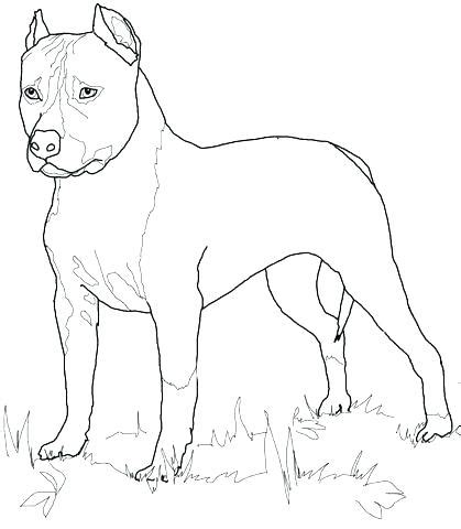 We're called yellow lab because of our approach: Yellow Lab Coloring Pages at GetColorings.com | Free ...