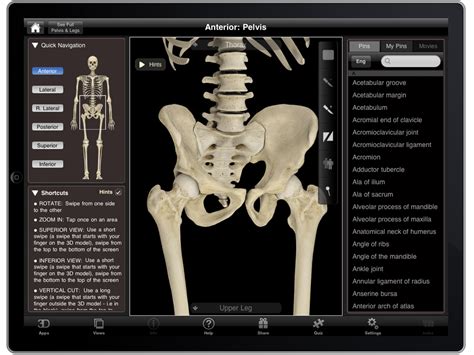 Best Anatomy Learning App