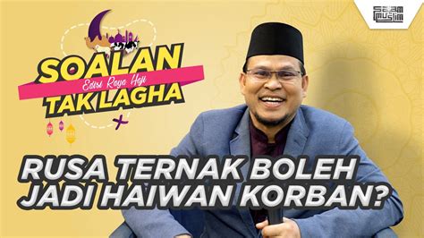 Selalu saya akan masukkan cas, dalam masa yang sama saya cabut bateri lepas tu masukkan balik bateri. Rusa Ternak Boleh Tak Dijadikan Haiwan Korban? | Soalan ...