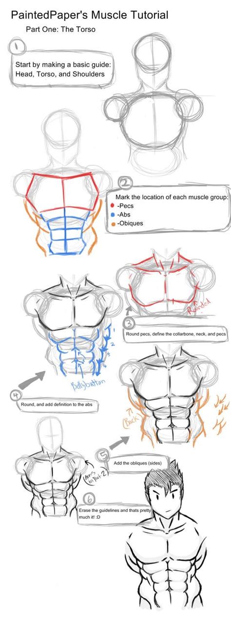 These frame the torso and make a big impact on the final design. Big Muscles Tutorial - Part 1 by paintedpaper (With images) | Body drawing tutorial, Figure ...