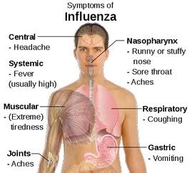 It's quite different from the common cold. Cosa fare in caso di influenza?