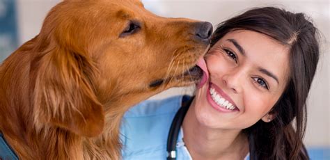 Pet central animal hospital is a full service animal hospital that welcomes both emergency treatment cases as well as patients in need of routine medical, surgical, and dental care. Veterinarians Ottawa, ON | Home | Algonquin Animal Hospital