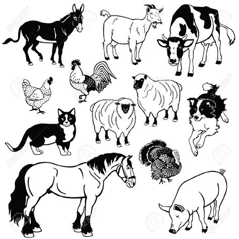 29747 free black and white clipart farm animals. Herbivorous clipart 20 free Cliparts | Download images on Clipground 2021