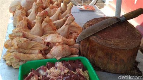Harga ayam broiler hari ini sabtu 24 april 2021. Referensi Harga Ayam Broiler Hari Ini - Mitra Peternakan Sejahtera Alat Kandang Ayam Broiler ...