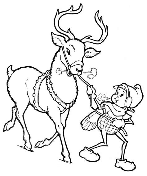 Here are 20 free reindeer coloring page the mountain reindeer is the second largest wild reindeer. Christmas Reindeer Coloring Pages in 2020 | Animal ...