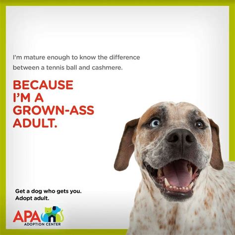 Pawsco is a 501(c)3 nonprofit focused on helping animals through: Pet adoption center by Robbyj Bridwell on Funny Banners ...