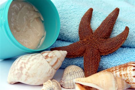 Maybe you would like to learn more about one of these? Kostenloses Foto - Seestern Muscheln - Stillleben - frei ...