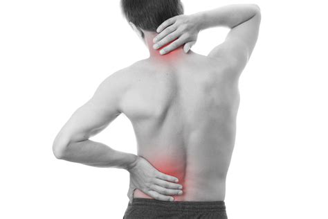 Back muscle anatomy, types, structure, importance & names. Trigger Points and Physical Therapy: Striking a Nerve in a ...