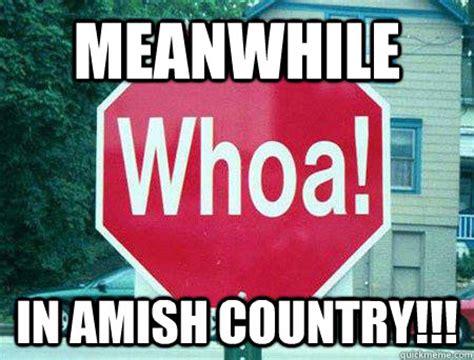 Meanwhile In amish country!!! - Meanwhile In Amish Country - quickmeme