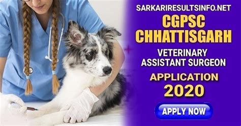 A to z full forms. CGPSC Chhattisgarh Veterinary Assistant Surgeon Apply ...