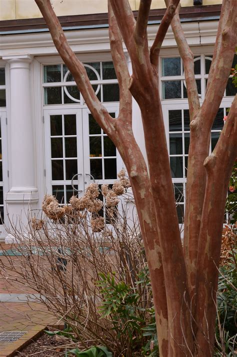Maybe you would like to learn more about one of these? Daniel Stowe botanical garden. (With images) | Botanical ...