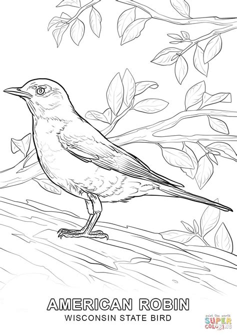 We have collected 40+ realistic bird coloring page images of various designs for you to color. Alabama State Bird Coloring Page - Coloring Home