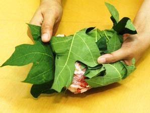 Bukan perpisahan yang kutangisi, bukan kepergianmu yang kusesali, namun hanya mengeluh. Melunakkan Daging dengan Daun Pepaya - Info Pendidikan dan ...