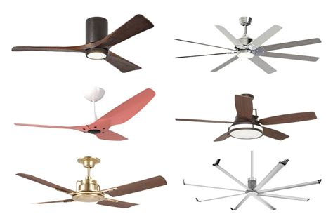 ： clementine designs ， model: The Best Ceiling Fans, According to Designers - Coastal ...