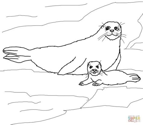 Explore 623989 free printable coloring pages for your kids and adults. Exclusive Picture of Seal Coloring Pages | Baby coloring ...