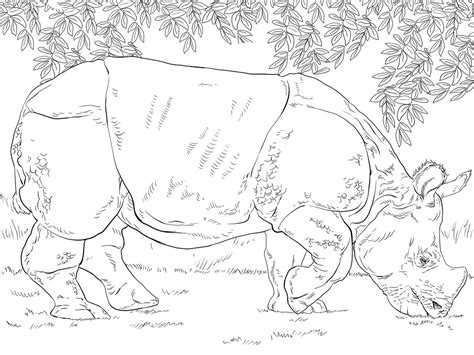 How long does it take a woolly rhino to sprint? Top 20 Printable Rhino Coloring Pages - Online Coloring Pages