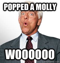 May 09, 2021 · latest and the best memes of ric flair, best memes of nature boy, former wwe champion ric flair woo memes | quickmeme