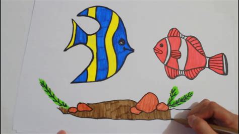 Perangai ikan manfish kalem dan tenang, itu sebabnya disebut. Menggambar dan mewarnai Ikan Hias, Drawing and coloring ...