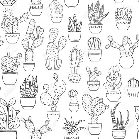 First, draw the cactus using green outlines. Image result for succulent line drawing | Succulents ...