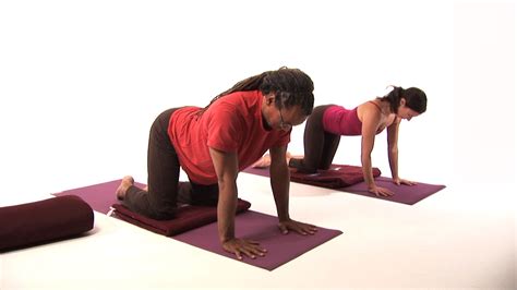 Converting dvd to digital file on dvd is available for $20.00 $10/each (thumb drive $15 additional). Yoga for Back Pain DVD video - Real Bodywork