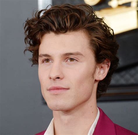 16 december 2019, 11:30 | updated: Shawn Mendes & Camila Cabello at the Grammys Have Fans ...