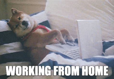 We've rounded up the best work from home memes that. Work At Home GIFs - Get the best GIF on GIPHY