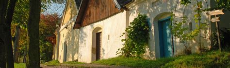 Finden sie ihre mietwohnung unter 30.716 angeboten. Beispiele - Kellerbörse Niederösterreich - Informationen ...