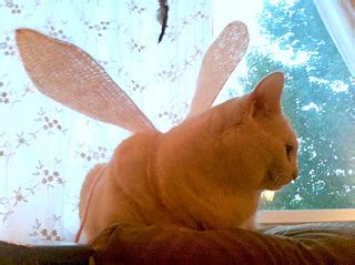 I cut two large leaves from some green furry fleece. Ravelry: faerie wings pattern by tiny owl knits