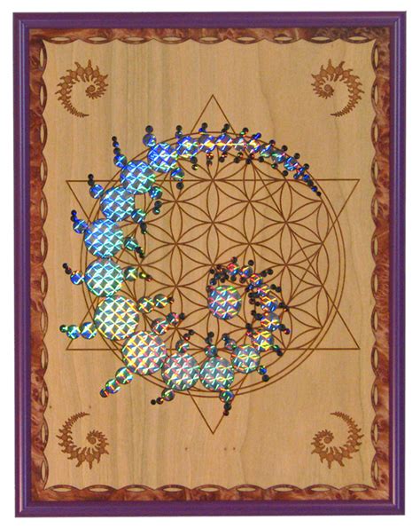 The secret life of flowers. Pin on ::: sacred geometry