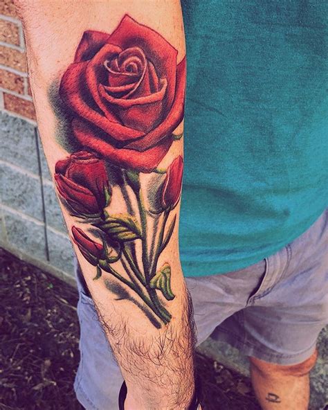 If you stalk a person or a wild animal, you follow them quietly in order to kill them, catch them, or observe them carefully. New ink. Lots of meaning. He used the actual roses that I ...