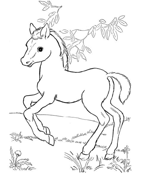 Coloring pages are fun for children of all ages and are a great educational tool that helps children develop fine motor skills, creativity and color recognition! Free and Printable Horse Color Pictures | Activity Shelter