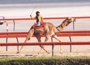 Camel jockey — australian slang (racing) person of middle eastern origin … camel driver — australian slang (horseracing) unsuccessful jockey … english dialects glossary. child-camel-jockey-big2