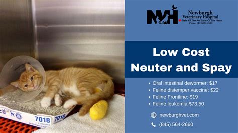 Myths about spay and neuter. Newburgh Veterinary Hospital provides best quality and low ...