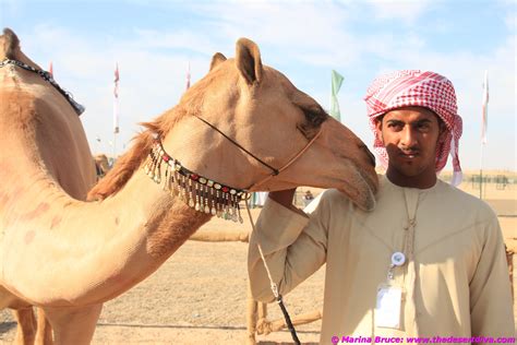 We would like to trigger an initialize method on a singleton bean after spring finished doing its thing and camel has finished building all routes. camel festival13 | The Desert Diva